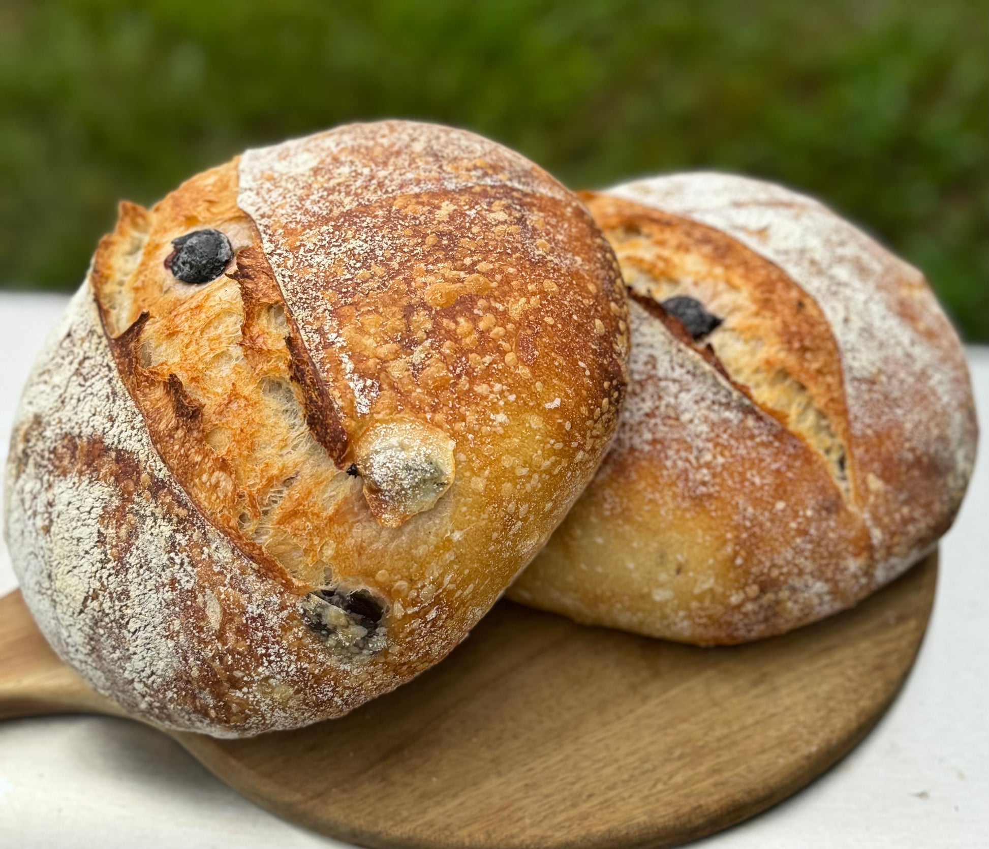 Olivia Mediterra Sourdough Loaf - Bella Dolce Bakery