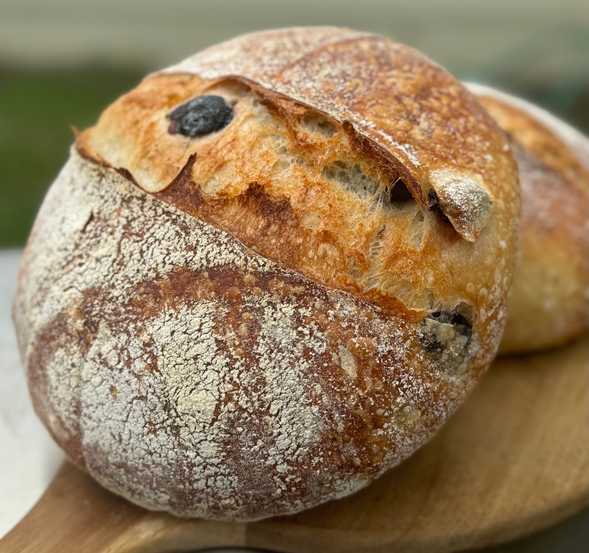 Olivia Mediterra Sourdough Loaf - Bella Dolce Bakery