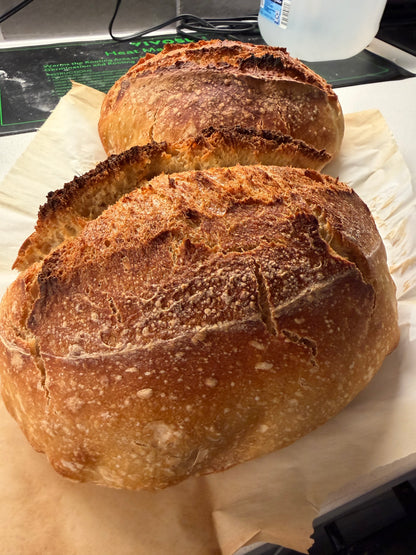Classique LaRue Sourdough Loaf