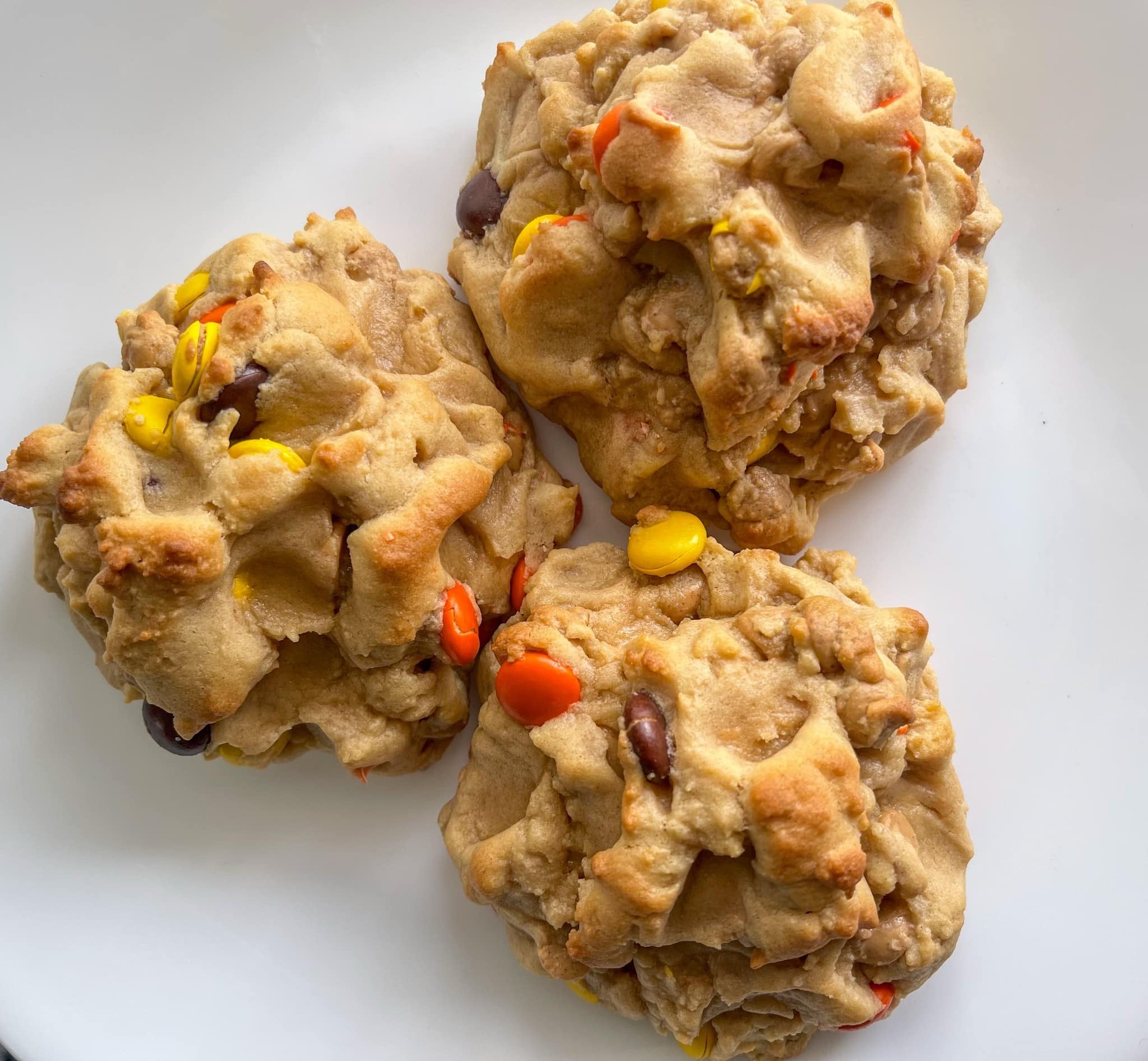 The Pudge Gourmet Cookie