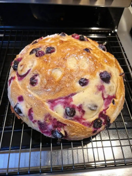 Citrus Blu Devine Sourdough Loaf - Bella Dolce Bakery