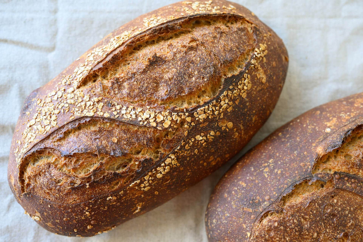 Eartha Grainsworth Sourdough Loaf